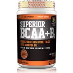 Superior 14 BCAA + B6 400 tablet – Zboží Dáma