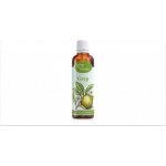 Serafin Grep tinktura z bylin 50 ml – Hledejceny.cz