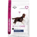 Eukanuba Dog Daily Care Excess Weight 12 kg – Hledejceny.cz