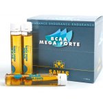 Sanas BCAA Megaforte 750 ml – Hledejceny.cz