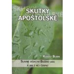 Skutky apoštolské. Slavné dědictví Božího lidu a jak z něj čerpat - Bubik Rudolf – Zbozi.Blesk.cz