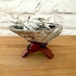 Gaja Vykuřovací mušle Abalone se stojánkem – Hledejceny.cz