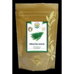 Salvia Paradise Přeslička rolní nať mletá 100 g – Hledejceny.cz