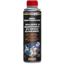 BlueChem Valves And Injection Cleaner 300 ml