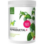 Pokusa BreedingLine Reproductal+ pro feny v chovu a březosti - 350 g – Hledejceny.cz