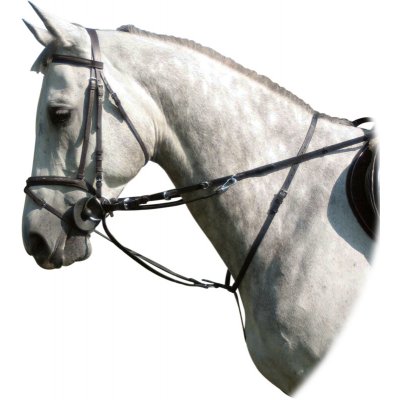 Kentaur Thiedemann kombinace otěže + martingal – Sleviste.cz