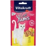 Vitakraft Cat Yums Sýr 40 g – Hledejceny.cz