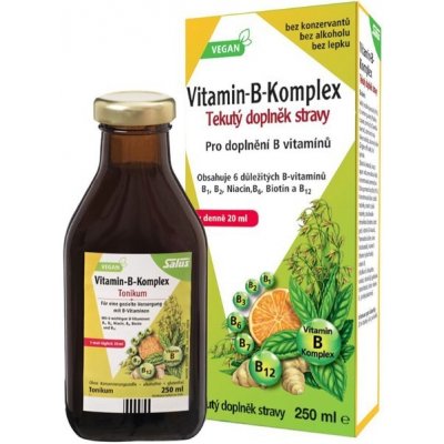 Floradix Vitamin B-Komplex 250 ml – Zboží Mobilmania