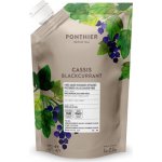 Ponthier Pyré ovocné černý rybíz 1000 g – Zboží Dáma