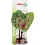 Zolux rostlina na kamínky načervenalé listy 19 cm – Zboží Dáma