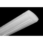 Trevos 236 – Zboží Dáma