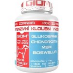 Giom Intenzivní kloubní výživa 60 tbl – Zboží Dáma