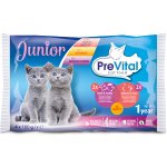 PreVital Junior 12 x 100 g – Hledejceny.cz