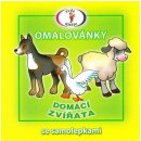 Omalovánka Vydavatelství Šikulka Domácí zvířata Omalovánky se samolepkami A5