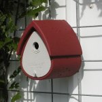 Schwegler Ptačí budka 1MR na zeď červená – Hledejceny.cz