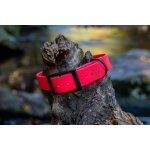 Zlaté Tlapky Voděodolný obojek KLASIK – Zboží Dáma