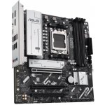 Asus PRIME B840M-A-CSM 90MB1J10-M0EAYC – Zboží Živě