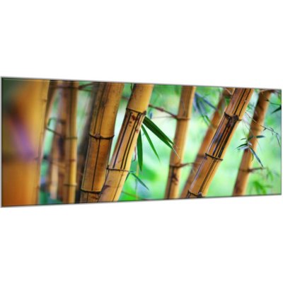 Obraz skleněný hnědý bambus a zelené pozadí - 52 x 60 cm – Zboží Mobilmania