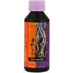 Atami B´cuzz Root Stimulator 500 ml – Zboží Mobilmania