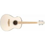 Ibanez AAM370E – Hledejceny.cz