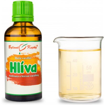 Bylinné kapky Duše rostlin Hlíva tinktura z hlívy 50 ml – Hledejceny.cz