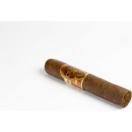 Oliva Serie V Double Robusto – Zboží Mobilmania