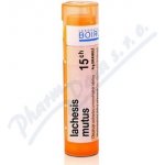 LACHESIS MUTUS POR 15CH GRA 4G – Hledejceny.cz