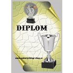 VIZINGR Šipky diplom A4 č.2 Šipky č.2 BEZ TEXTU – Hledejceny.cz