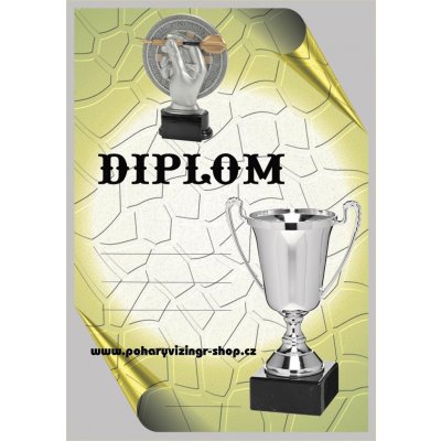 VIZINGR Šipky diplom A4 č.2 Šipky č.2 BEZ TEXTU – Hledejceny.cz