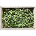 Canella Small apple green 35 ks – Hledejceny.cz