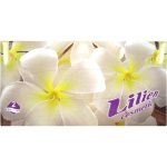 Lilien papírové kapesníčky 2-vrstvé 100 ks – Zboží Dáma