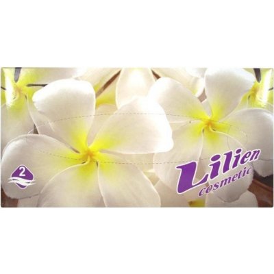 Lilien papírové kapesníčky 2-vrstvé 100 ks – Zboží Dáma