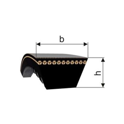 Klínový řemen řezaný 13x1250 Li - AX 1280 Lw Profi-X Rubena – Zbozi.Blesk.cz