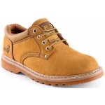 Canis CXS Road Belmont písková – HobbyKompas.cz