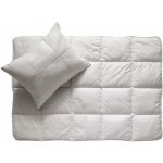 Moravia Comfort soft 95°C Polštář 50x70 600g – Hledejceny.cz