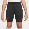 Dětské kraťasy a šortky Nike Liverpool Strike Third Shorts 2024 2025 Juniors Grey