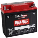 BS-BATTERY SLA MAX 51913 (FA) – Zboží Mobilmania