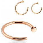 Šperky4U pozlacený piercing do nosu kruh N0001-0810 – Hledejceny.cz