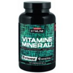 Enervit Vitamine e Minerali 120 tablet – Hledejceny.cz