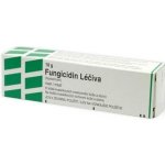 FUNGICIDIN LÉČIVA DRM 100000IU/G UNG 10G – Sleviste.cz