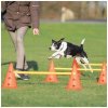Výcvik psů Trixie slalomové sloupky univerzální trénink