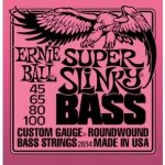 Ernie Ball 2834 – Zboží Dáma