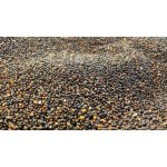 Wolfberry Quinoa černá Bio 0,5 kg – Sleviste.cz
