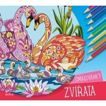 Zvířata omalovánky Andrea Brázdová – Zboží Dáma