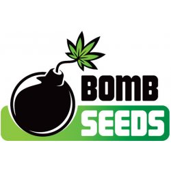 Bomb Seeds Big Bomb semena neobsahují THC 5 ks