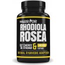 Warrior Rhodiola Rosea Rozchodnice růžová 100 tablet