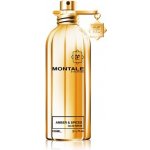 Montale Amber & Spices parfémovaná voda unisex 100 ml – Hledejceny.cz