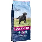 Eukanuba Adult Large Breed Chicken 15 kg – Hledejceny.cz