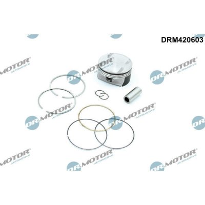Dr.Motor Automotive DRM420603 – Hledejceny.cz