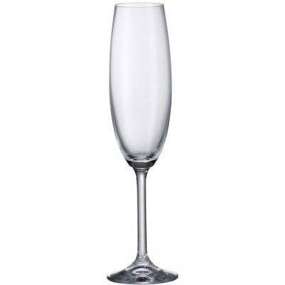 Bohemia Crystal Sklenice Colibri na šampaňské 6 x 220 ml